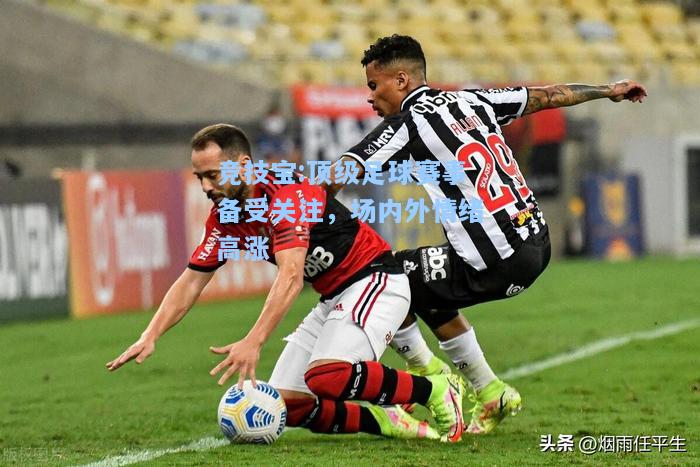 顶级足球赛事备受关注，场内外情绪高涨